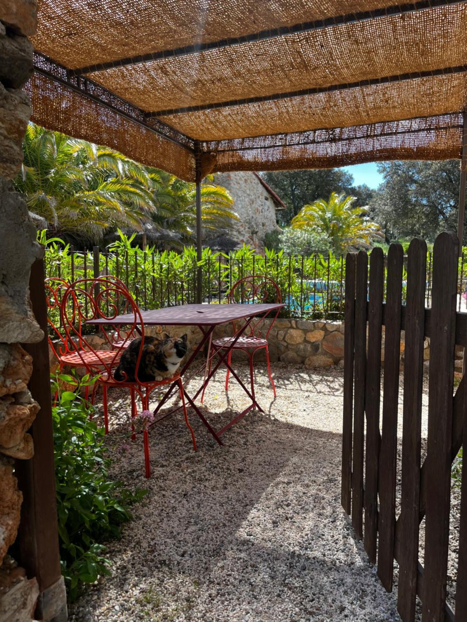 Apartamento Mas Picagnol Oms Exterior foto